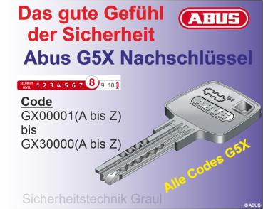 Mehrschlüssel GX5